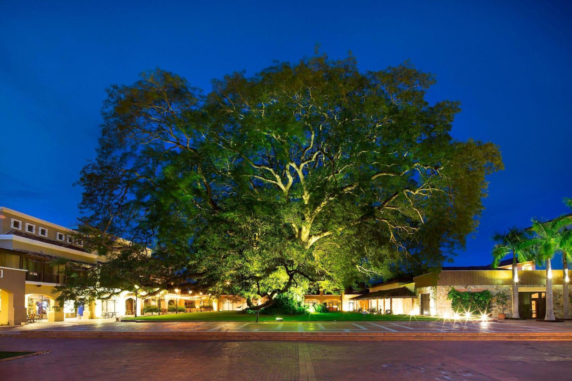 The Buenaventura Golf & Beach Resort, Autograph Collection Río Hato Zewnętrze zdjęcie